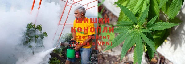 дурь Богданович