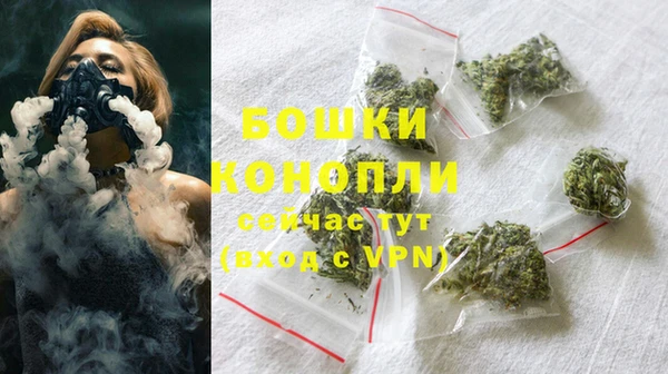 сатива Богородск