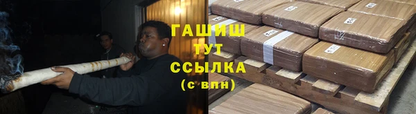 стафф Богородицк