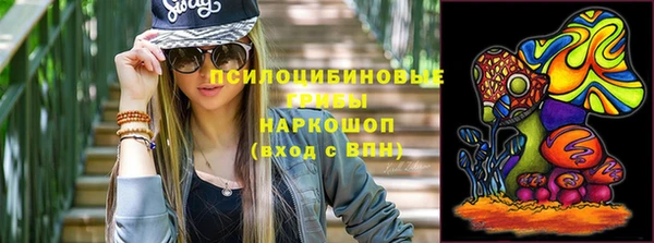 стафф Богородицк
