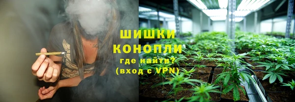 дурь Богданович