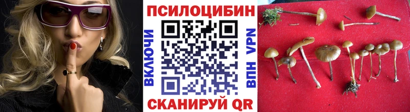 Псилоцибиновые грибы GOLDEN TEACHER  цены наркотик  Льгов 